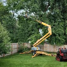 Seasonal Cleanup (Spring/Fall) in Marmaduke, AR